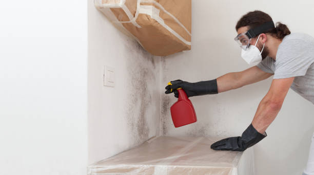 Professional Mold Removal technician working in Franklin, VA