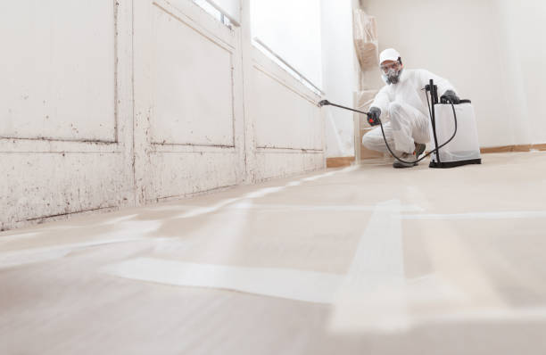 24/7 Emergency Mold Removal experts in Franklin, VA
